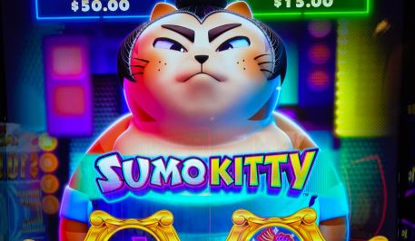 Sumo Kitty/Lucha Kitty